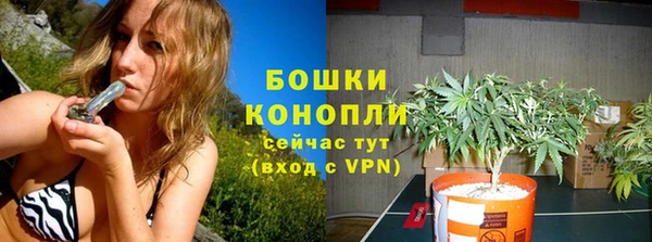 бошки Елизово