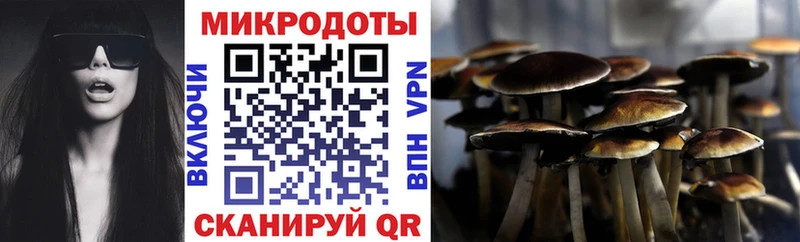 цена наркотик  Тамбов  Псилоцибиновые грибы Cubensis 